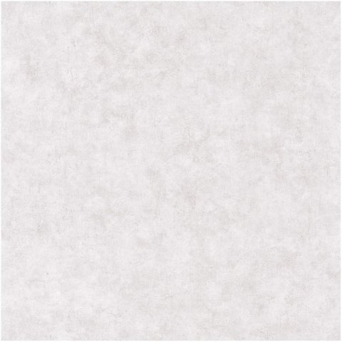 Обои Caselio Beton 101489301