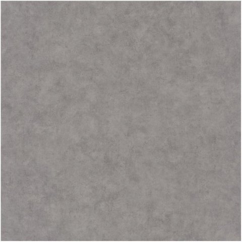 Обои Caselio Beton 101489600