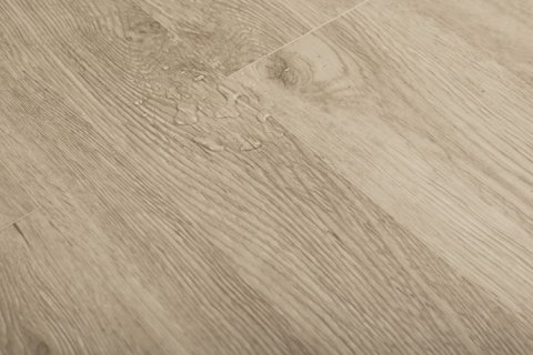 Дуб Маккуин/Oak McQueen