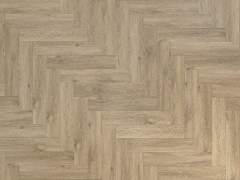 Дуб Бове/Oak Bouvet