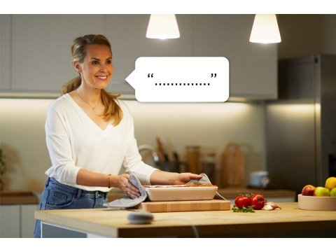 Переходник WiZ 929002427101