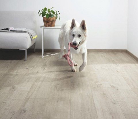 Замковый виниловый пол Quick-Step Pulse Click PUCL40105 Дуб хлопковый светло-серый