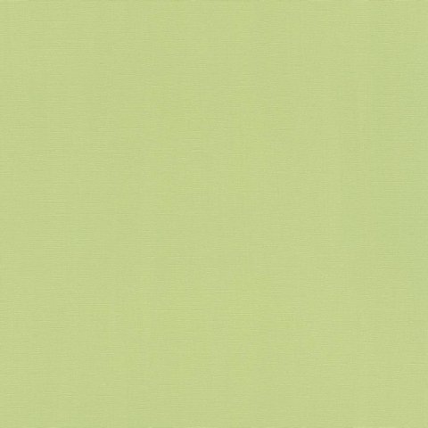 Обои Rasch Hyde Park 411829