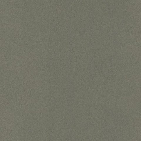 Обои Rasch Club 418668