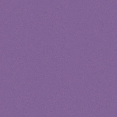 Обои Erismann RU Disney 4508-13