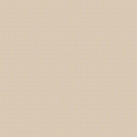 Обои Erismann RU Light 1 4556-3