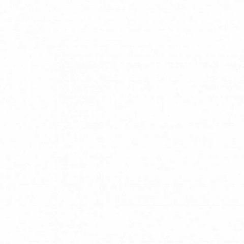 Обои Erismann RU Light 1 4556-4