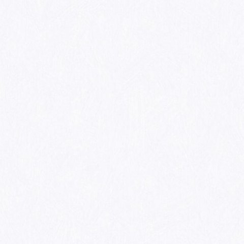 Обои Erismann RU Light 2 4568-1