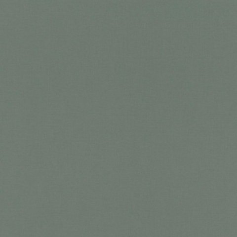 Обои Rasch Salisbury 552751