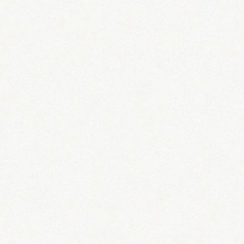 Обои Erismann RU Siena 60039-03