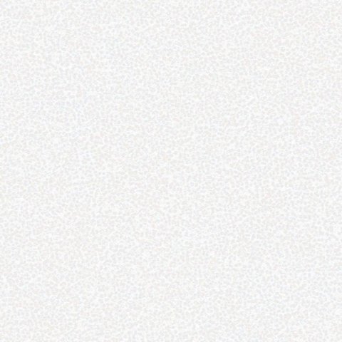 Обои Erismann RU Neochic 60061-02