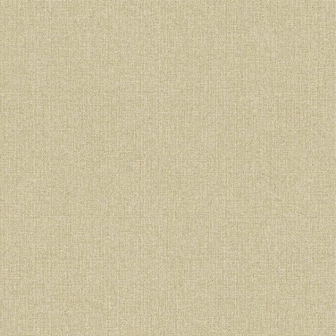 Обои Erismann RU Bolero 60062-04