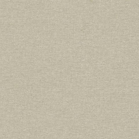 Обои Erismann RU Trend 3 60068-06