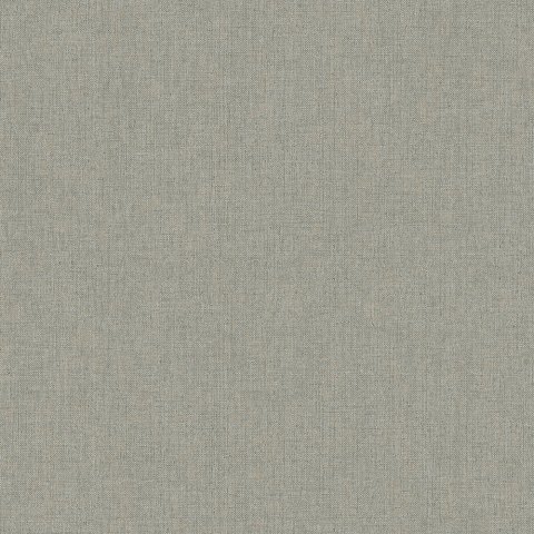 Обои Erismann RU Bolero 60165-05