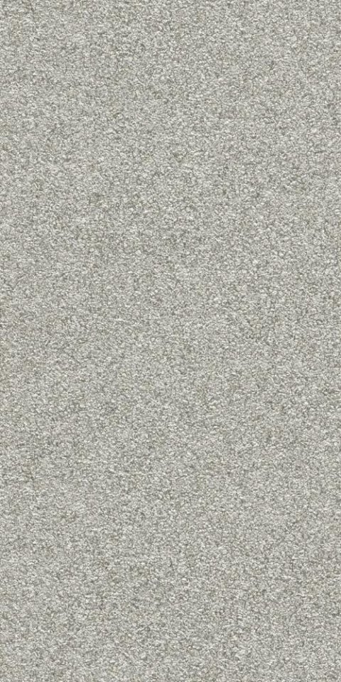 Обои Rasch Passepartout 606652