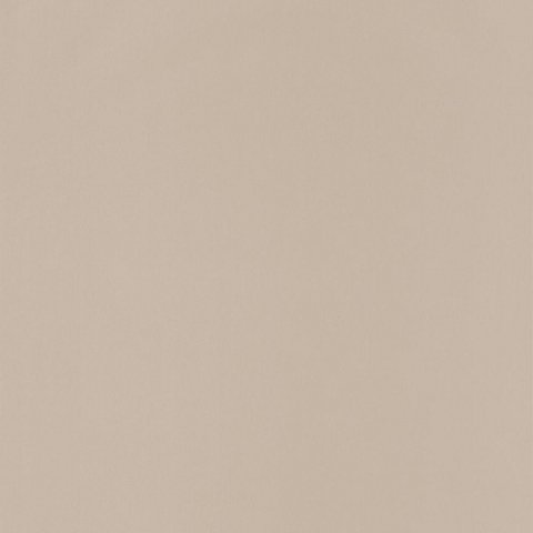 Обои Caselio Pretty Lili 66321000