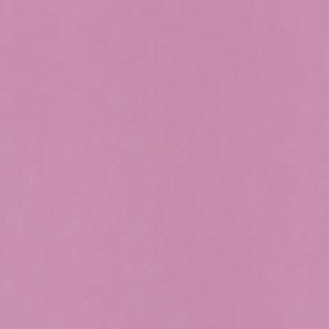 Обои Caselio Pretty Lili 66325302