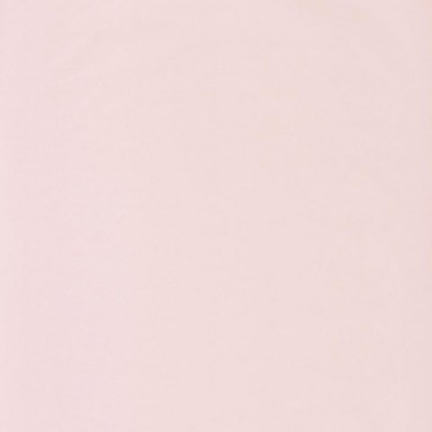 Обои Casadeco Rose Nino 69861001
