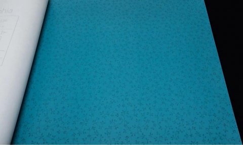 Обои Rasch Sophia 710748