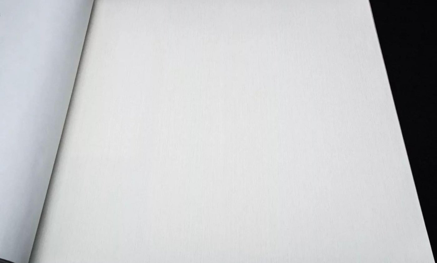 Обои Rasch Barbara XL 800517