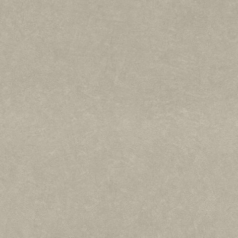 Обои Rasch Barbara 2 860108