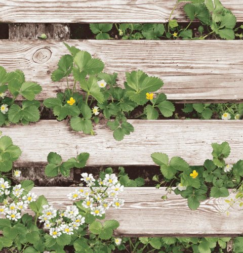 Обои Shinhan Wallcoverings Natural 2 87020-1