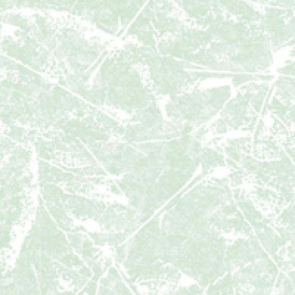 Обои Shinhan Wallcoverings Circle 88326-2