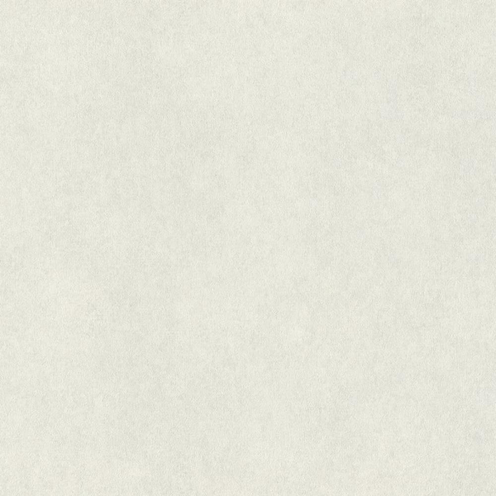 Обои Rasch Raymond 957303
