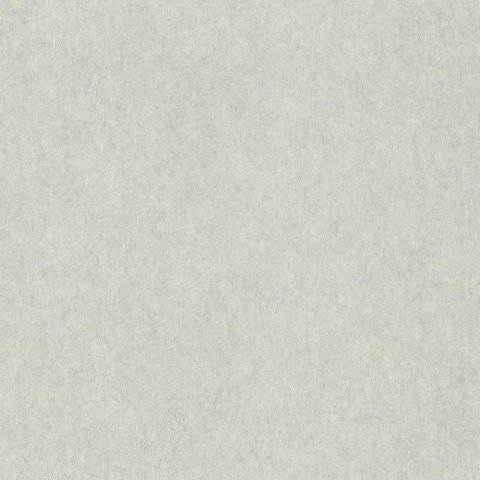 Обои Rasch Raymond 957310