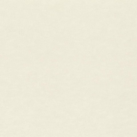 Обои Rasch Filigrano 964806