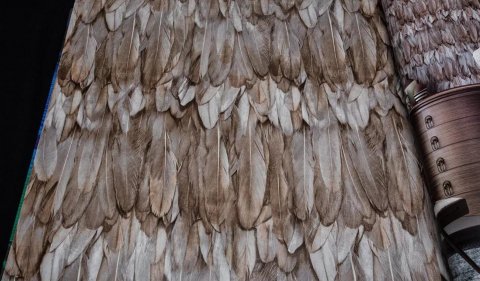 Обои AdaWall Tropicano 9913-5
