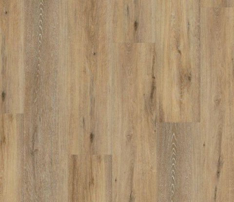 Виниловый пол Wineo 400 Wood XL DLC00126 Joy Oak Tender