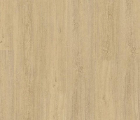 Виниловый пол Wineo 400 Wood XL DLC00125 Kindness Oak Pure