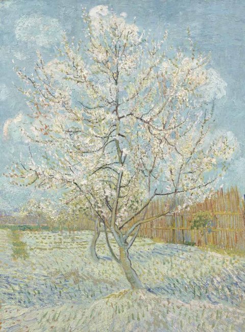 Обои BN Van Gogh BN 30541