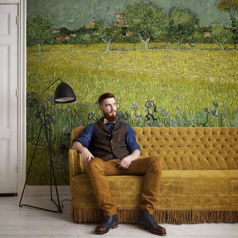 Обои BN Van Gogh BN 30543