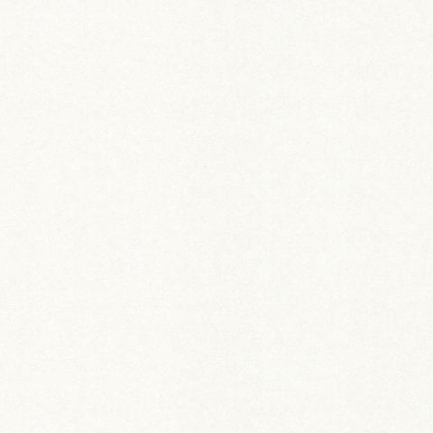 Обои BN Tailor BN 4249351