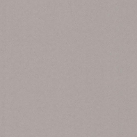 Обои BN Tailor BN 4249360