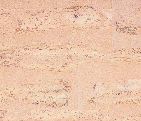Замковое напольное пробковое покрытие Corkstyle Natural Cork Comprido Creme