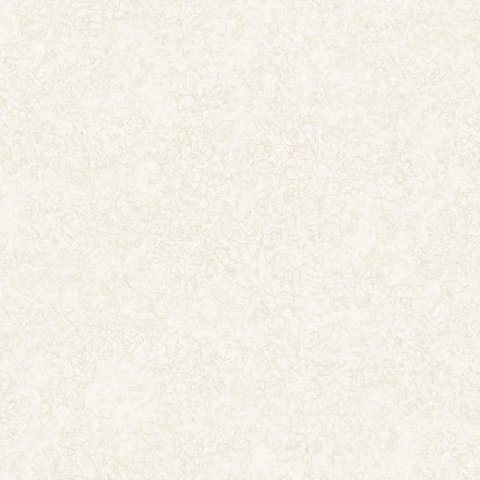 Обои Erismann RU Mystery 60104-02