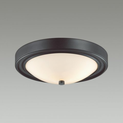Настенно-потолочный светильник Lumion Vintage Nina 5260/2C