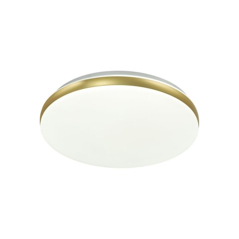 Настенно-потолочный светодиодный светильник Sonex Ringo 7626/CL