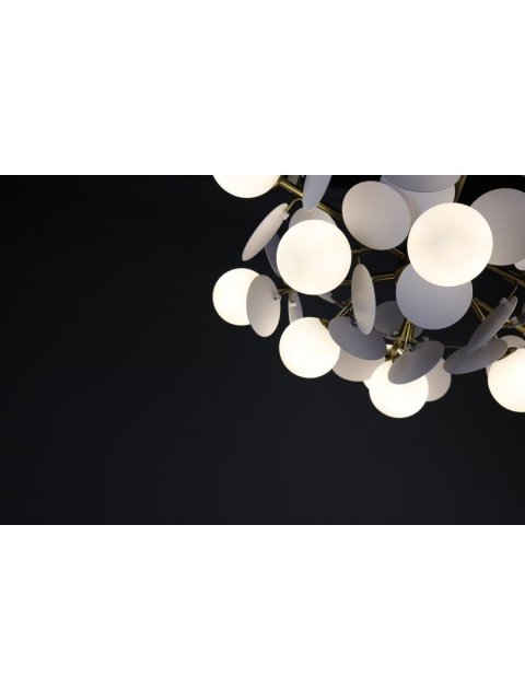 Подвесная люстра Zortes Floret ZRS.01201.12