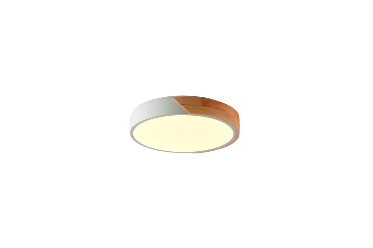 Потолочный светильник Zortes ALBERRO ZRS.01239.90