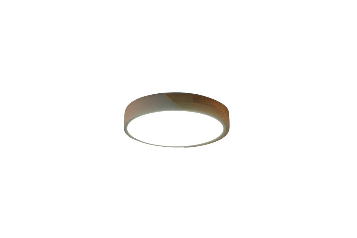 Потолочный светильник Zortes ALBERRO ZRS.01239.90