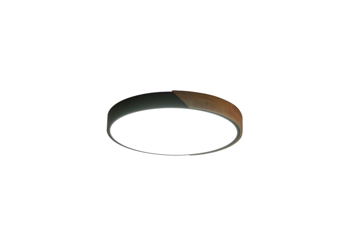 Потолочный светильник Zortes ALBERRO ZRS.01280.90