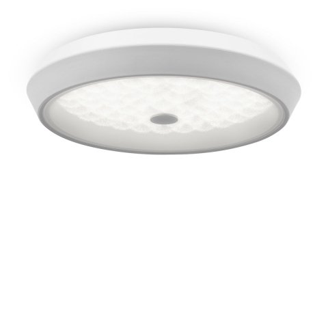 Потолочный светодиодный светильник Freya Cells FR10012CL-L24W