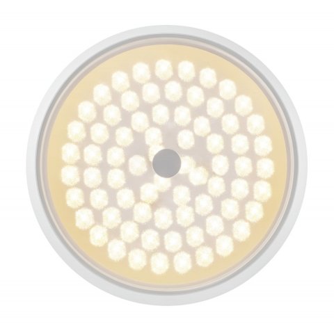 Потолочный светодиодный светильник Freya Cells FR10012CL-L24W