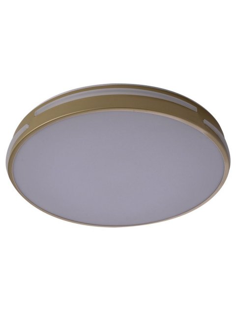Потолочный светодиодный светильник Zortes Gabby ZRS.90610.40