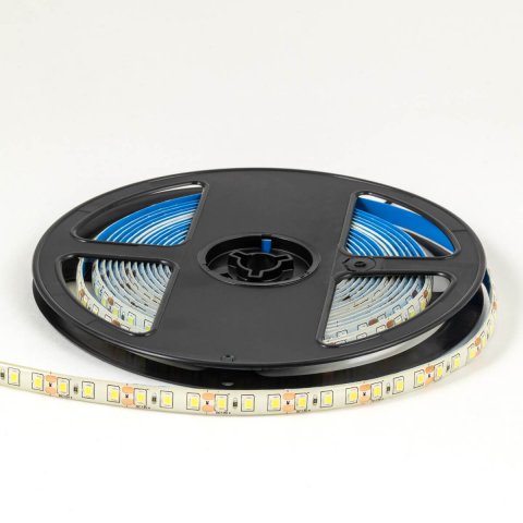 Светодиодная лента OGM 9,6W/m 120LED/m 2835SMD холодный белый 5M LSE-261