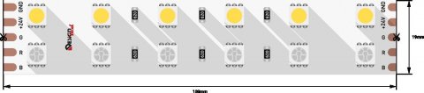Светодиодная влагозащищенная лента DesignLed 28,8W/m 120LED/m 5050SMD разноцветный/холодный белый 5M 000514